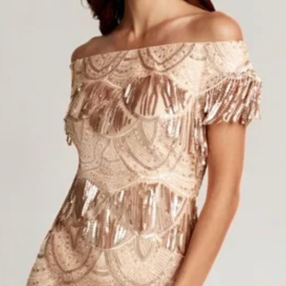 TADASHI SHOJI - SEQUIN FRINGE MIDI DRESS NWT - Picture 2 of 4